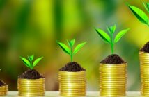 Seed Funding: Definition, Chancen und Risiken