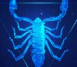 Sternzeichen Skorpion: Der geheimnisvolle Kämpfer