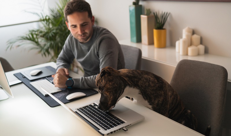 Das Fazit der Studie ging sogar soweit, dass behauptet wurde, dass Hunde im Büro die Zufriedenheit aller Mitarbeiter steigern können. ( Foto:  Shutterstock-Manu Padilla  )