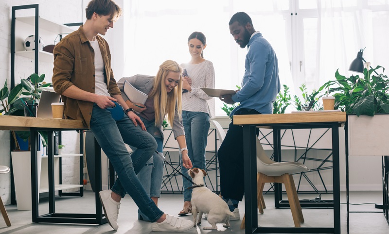 Barker hat im Jahr 2012 eine Studie zu Vierbeinern am Arbeitsplatz veröffentlicht und dabei herausgefunden, dass die Mitarbeiter mit Bürohund deutlich weniger gestresst waren als die Angestellten ohne Hund im Büro .( Foto: Shutterstock-_LightField Studios)