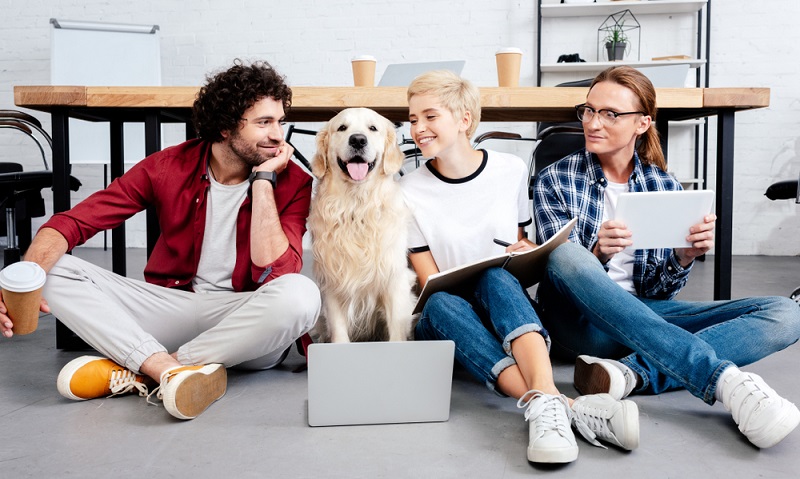 Verschiedene Studien haben es längst belegt: Durch Bürohunde sind wir produktiver bei der Arbeit! ( Foto: Shutterstock-_LightField Studios)