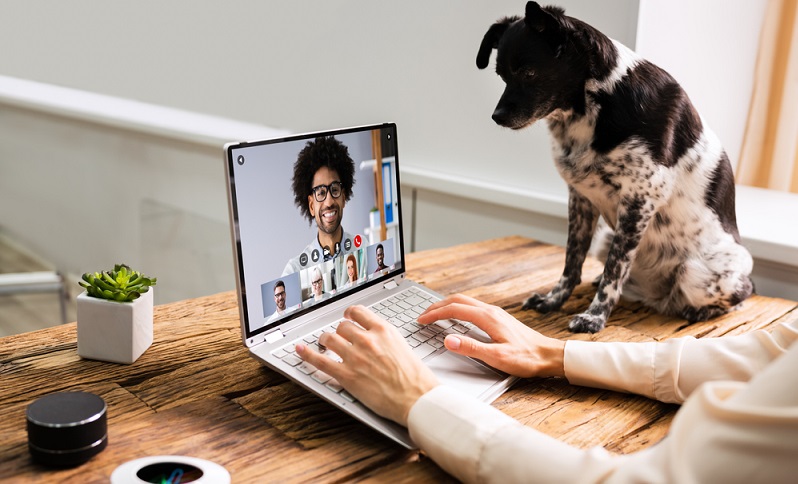 Unternehmen können von nur profitieren, wenn sich Hunde im Büro befinden! Der Grund: Jeder Chef will gesunde Mitarbeiter und die Gesundheit dieser wird wiederum durch den Bürohund gefördert. (Foto: Shutterstock-_Andrey_Popov )