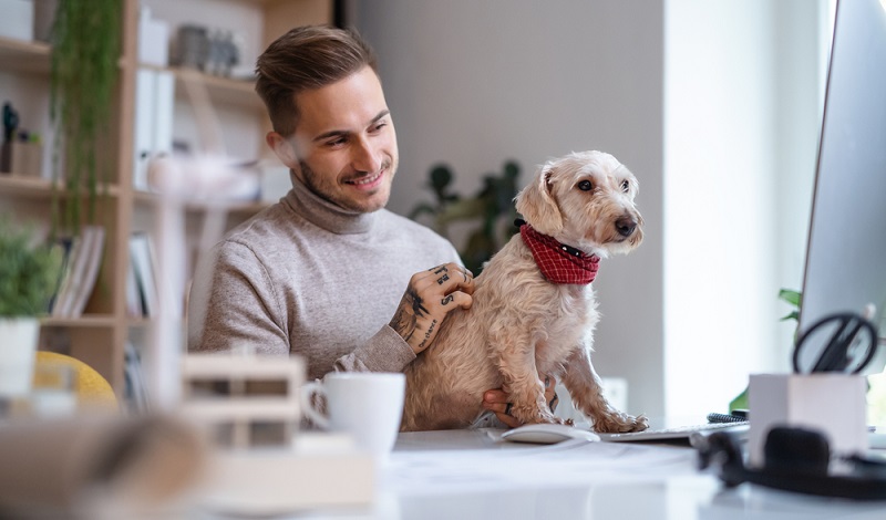 Als Hunde für das Büro eignen sich vor allem Rassen, die sich sehr am Menschen orientieren. ( Foto: Shutterstock- Halfpoint)