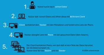 Infografik: So funktioniert ein Torrent.